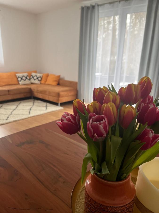 Ferienwohnung Natur Balingen Ngoại thất bức ảnh